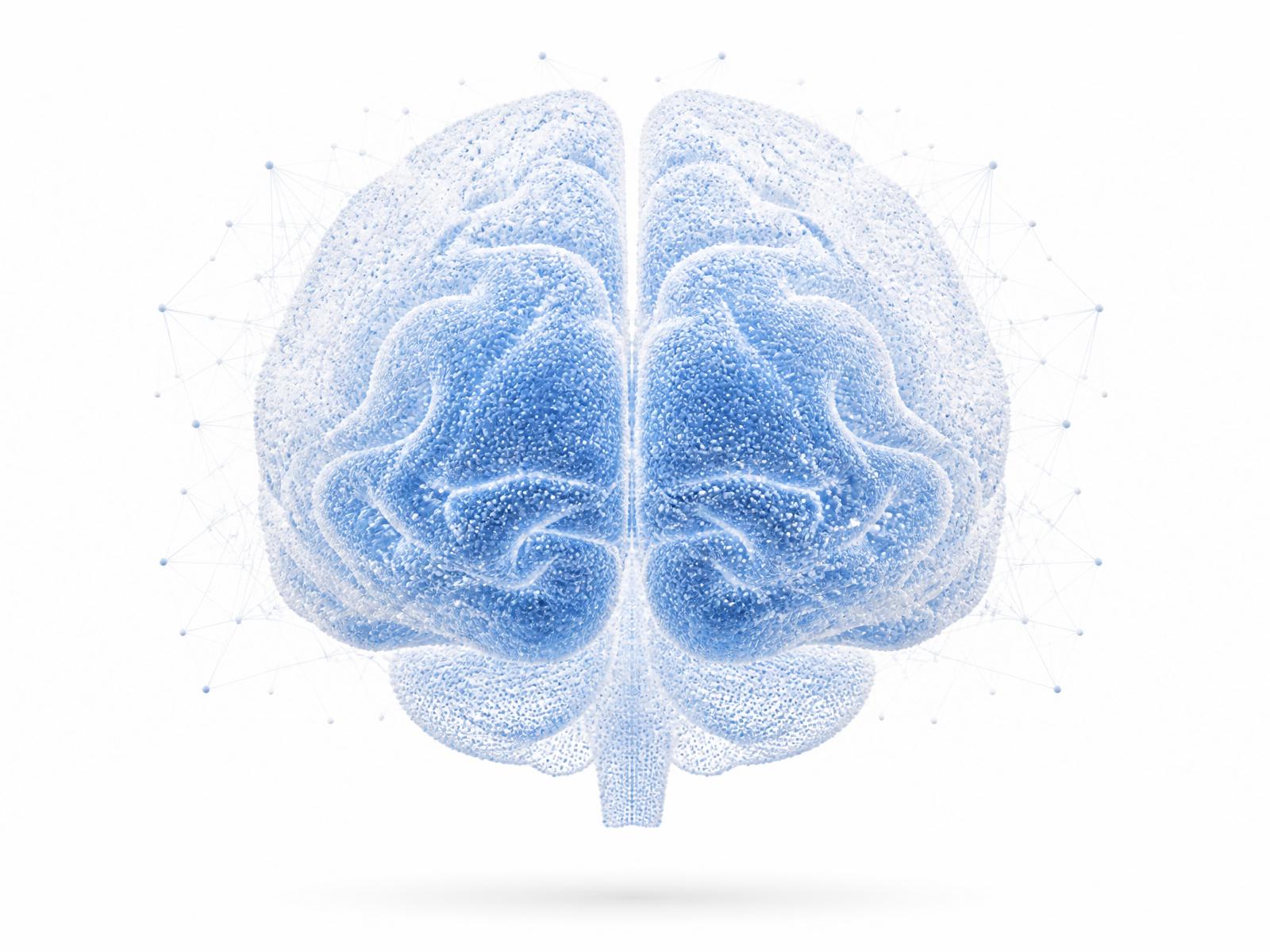 Digitized human brain neural network